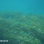 Hh Playa 아파트 *